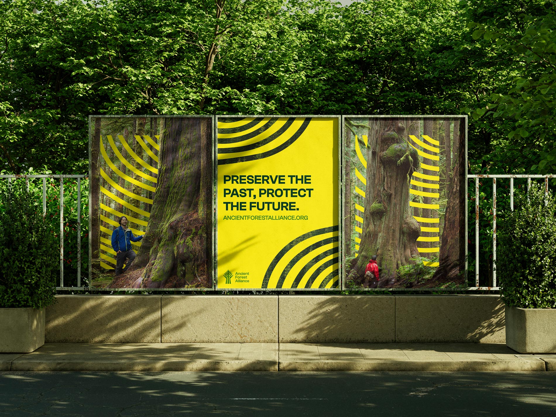 AFA posters 3 mock up