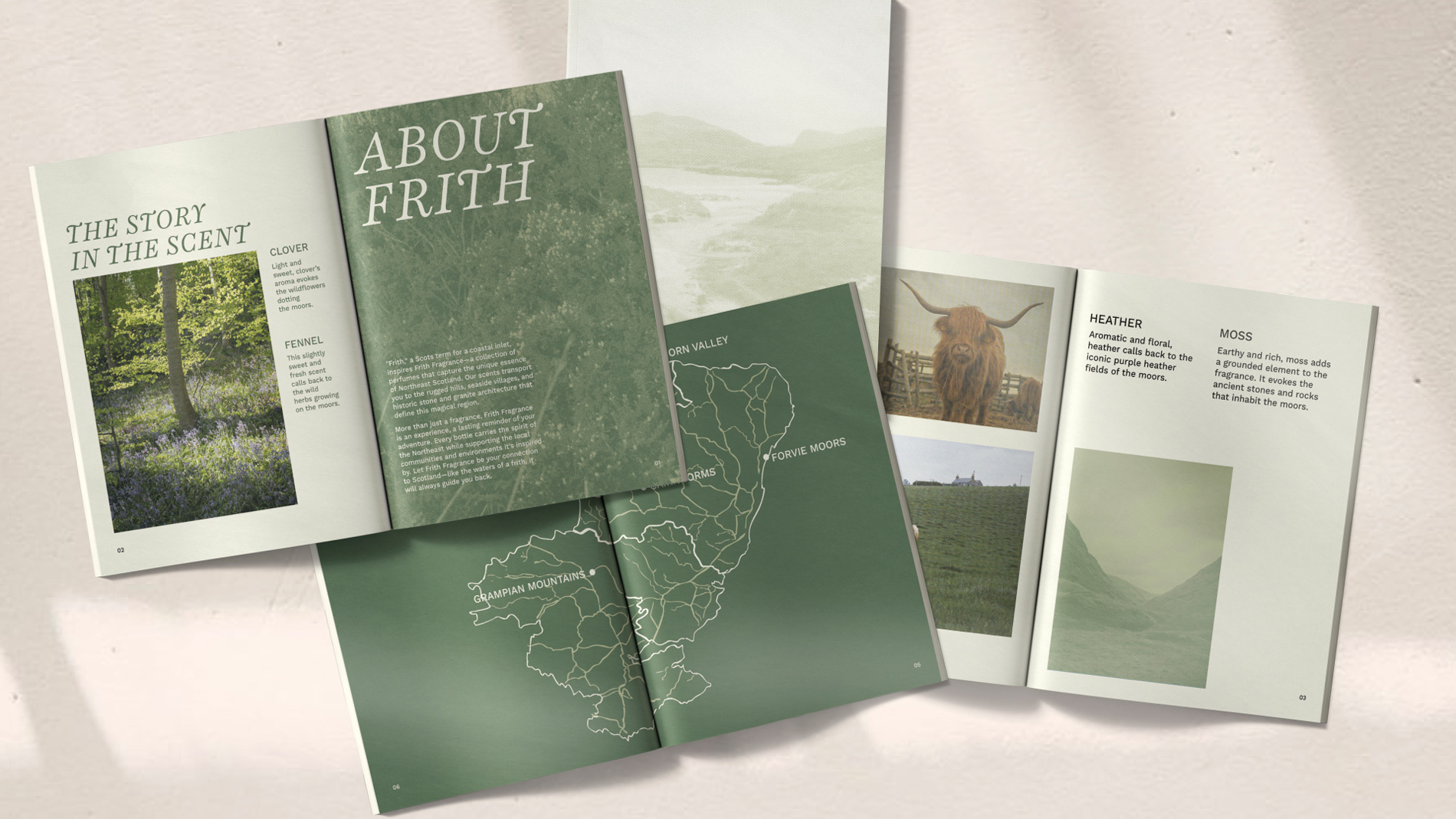 Firth green magazine spread